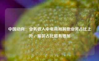 中国动向：业务收入中电商和其他业务占比上升，服装占比略有增加