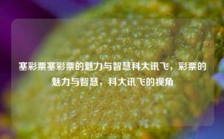 塞彩票塞彩票的魅力与智慧科大讯飞，彩票的魅力与智慧，科大讯飞的视角，彩票的魅力与智慧，科大讯飞的视角